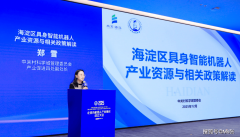 正在更具前瞻性的类脑域